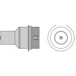 NRV12