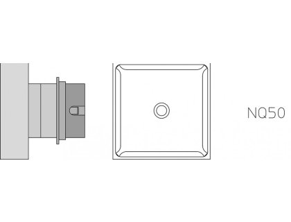 NQ50