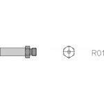 R01