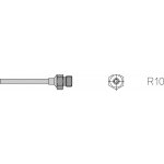 R10