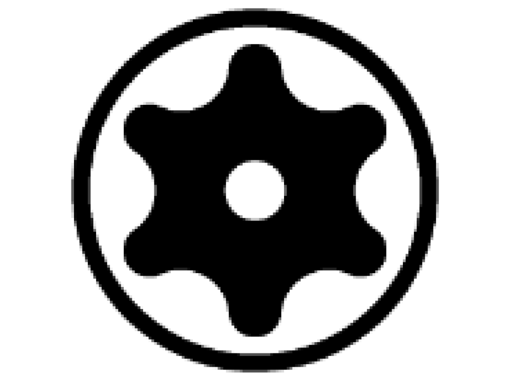 Bit Standard TORX Tamper Resistant (s otvorem) 1/4" 25 mm T40H